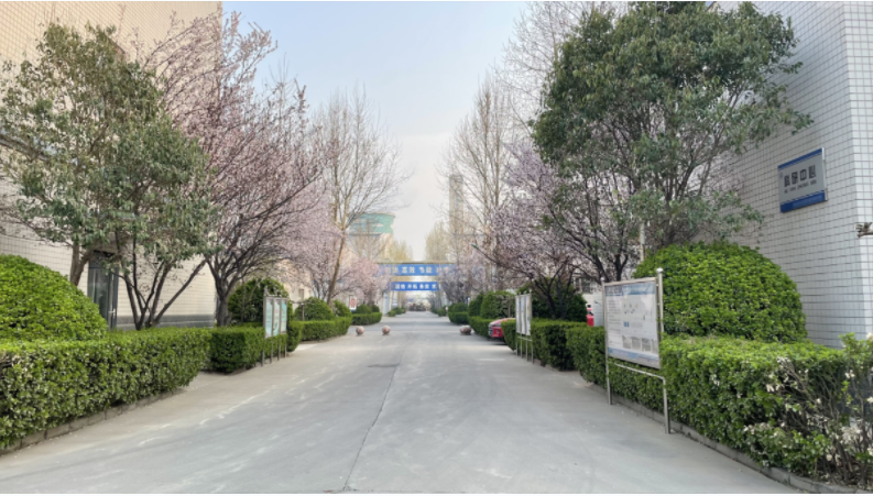 1683594549722650.png a.png